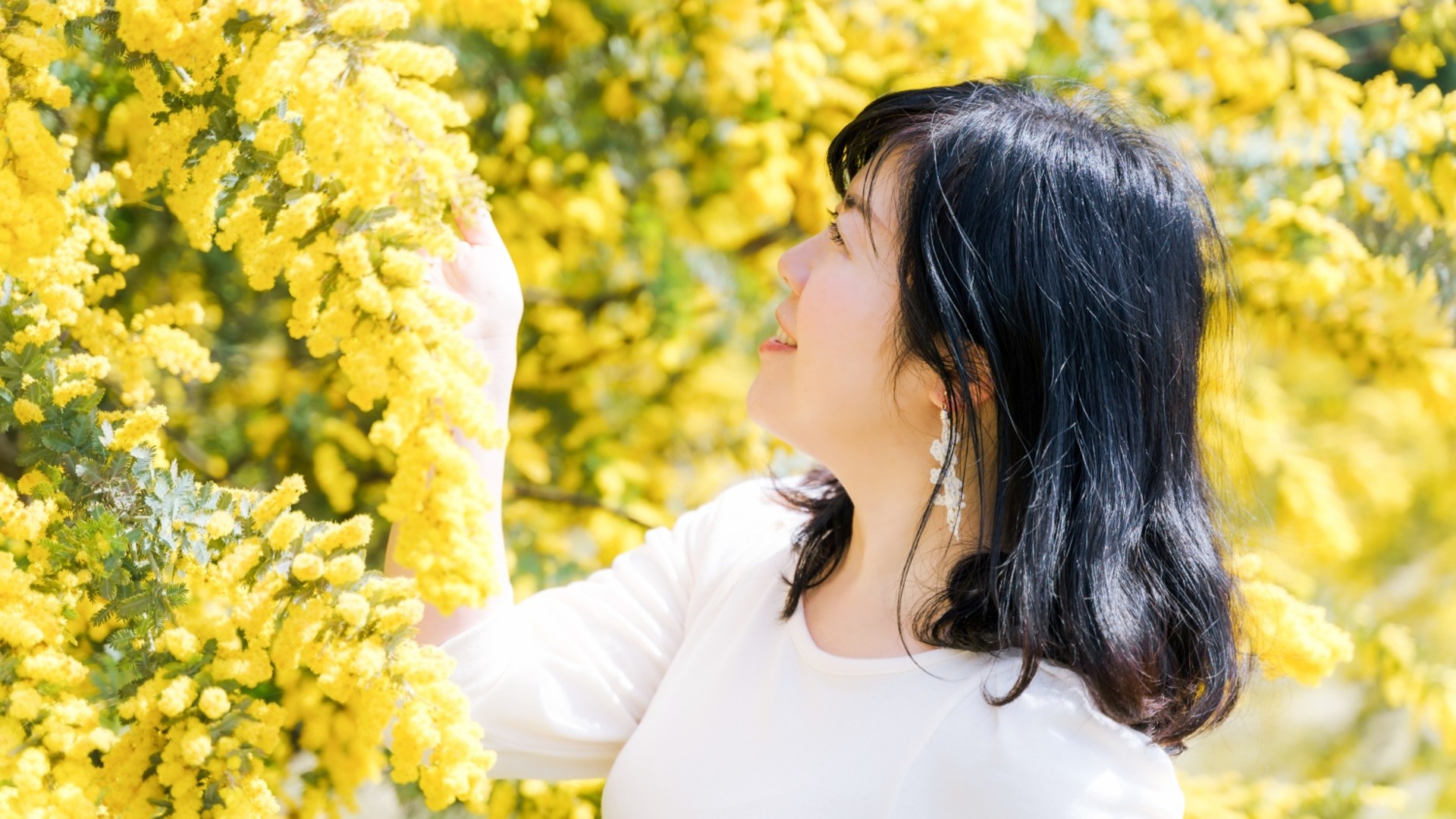 石井さなえ